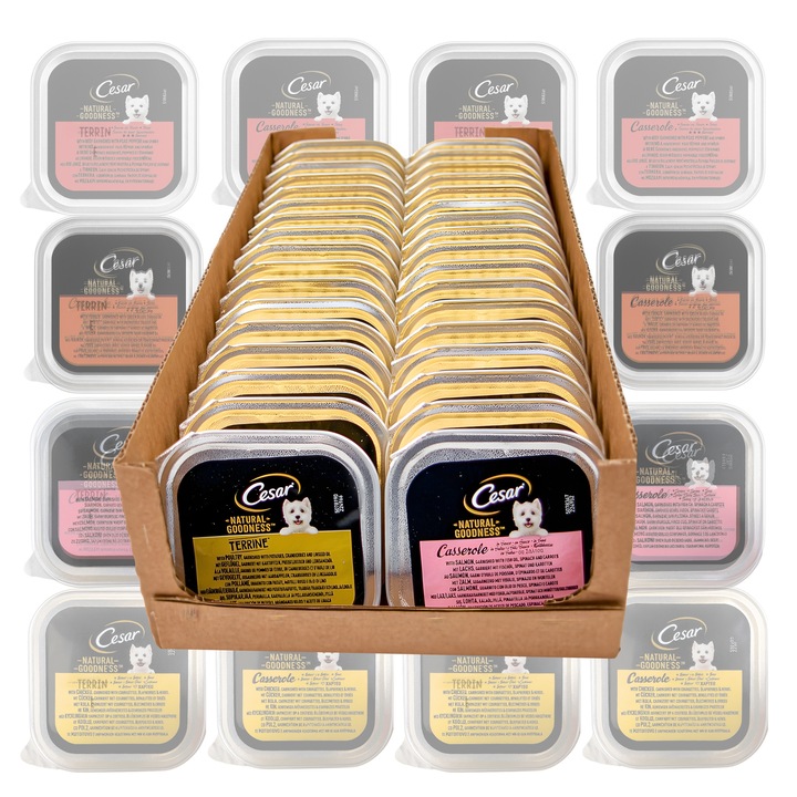 Karma Mokra dla Psa Cesar Natural Goodness mix smaków 34 szt x 100g