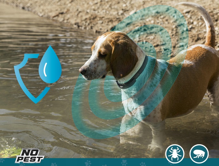 OBROŻA 75CM PRZECIW PCHŁOM KLESZCZOM PASOŻYTOM ROBAKOM DLA PSÓW NO PEST