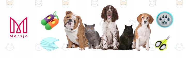 INTERAKTYWNA ZABAWKA DLA KOTA polowanie na myszkę, drapak, 2w1