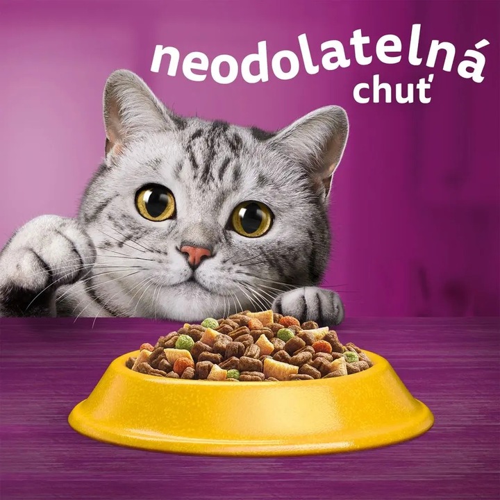 WHISKAS SUCHA KARMA DLA KOTÓW DOROSŁYCH KURCZAK 3,8 KG