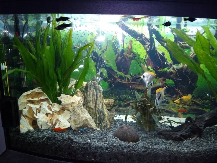 LAWA LAWA WULKANICZNA 2-8 mm 25 kg ŻWIREK AKWARIUM NA DNO