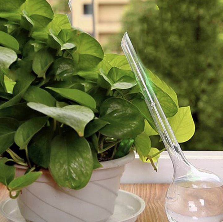 KULE NAWADNIAJĄCE DO KWIATÓW ROŚLIN DONICZEK DOZOWNIK WODY ZESTAW 8szt