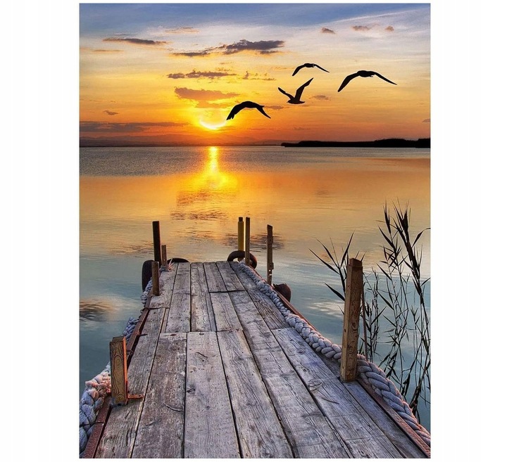 MALOWANIE PO NUMERACH OBRAZY DO MALOWANIA PREZENT OBRAZ KREATYWNY 40X50