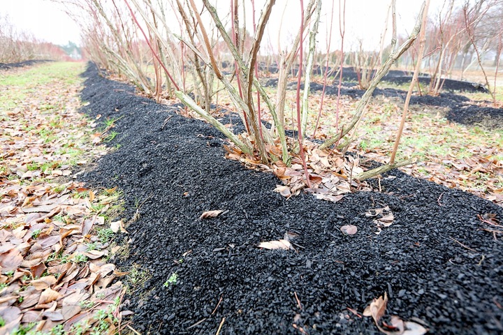 Ściółka z węgla brunatnego CARBOMAT ECO 20 L (pH 4,5 - 5,0)