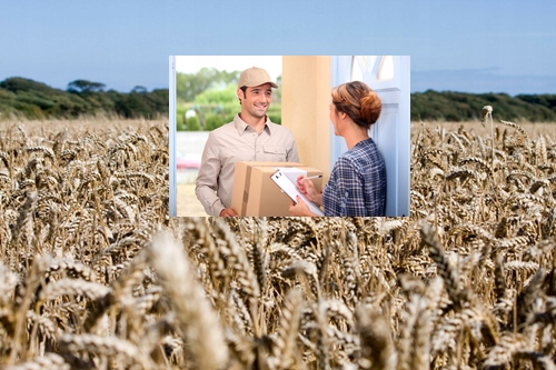 Proso żółte 25 kg