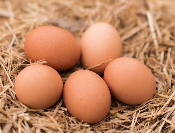 Kukurydza Gnieciona pasza karma 25kg Polska dla kur niosek gołębi