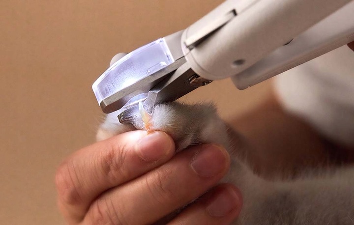 NOŻYCZKI DO OBCINANIA PAZURÓW PETKIT OBCINACZKI Z LAMPKĄ LED DLA PSA KOTA