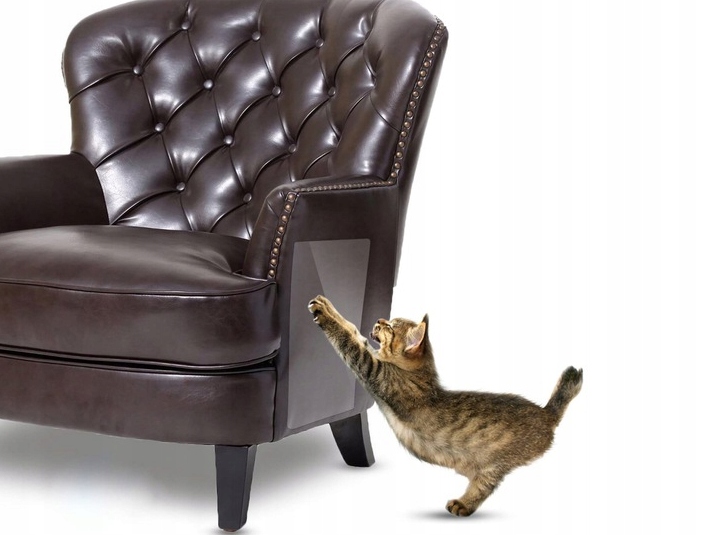 Folia Ochronna Dla Psów Kotów Drapak Gruba Samoprzylepna + Zestaw 152x50cm