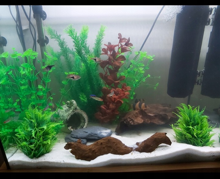 Naturalnie Biały Piasek Kwarcowy do Akwarium 0,5-1mm 24kg