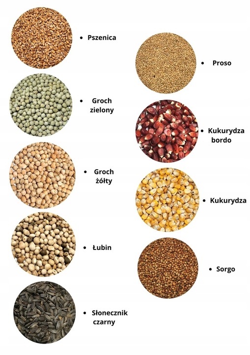 Zdrowa i Smaczna Karma dla Pawi 20kg