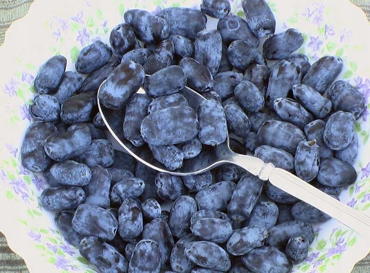 JAGODA KAMCZACKA SUPER zestaw ATUT+JOLANTA słodkie smaczne OWOCE w