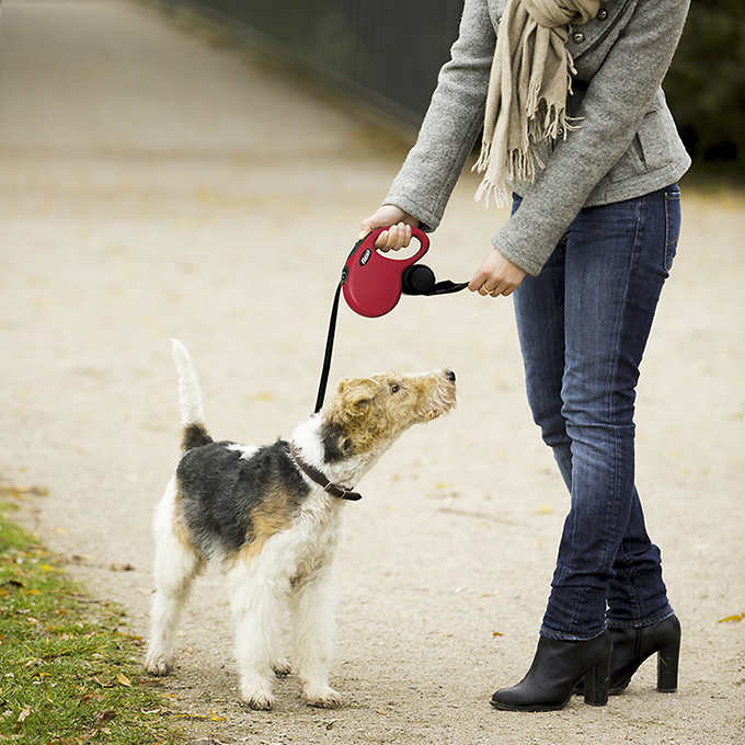 FLEXI L=8m automatyczna smycz dla psów do 50kg