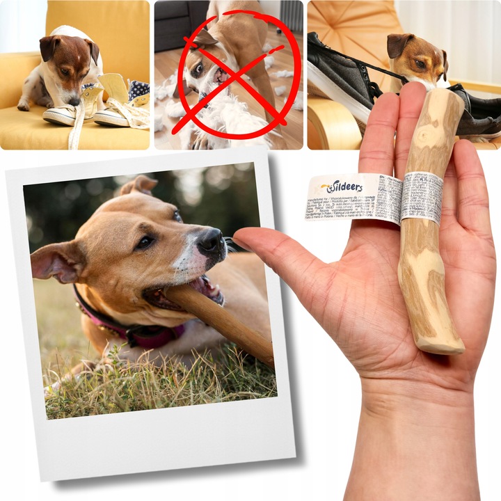 PATYK Z DRZEWA KAWOWEGO S NATURALNY KAWOWY GRYZAK DLA PSA WYTRZYMAŁY MAŁY