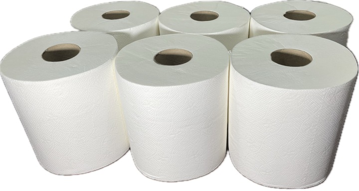 Ręcznik papierowy Ręcznik, 100% celuloza, 2 warstwy, 100m, 6 szt.