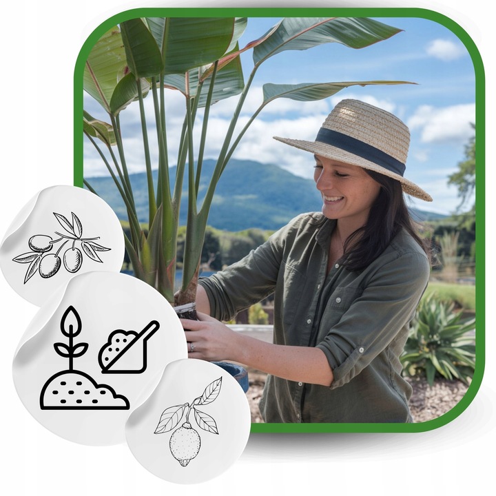 Ziemia do Strelicji i helikonii BIO Bigos Podłoże Premium 10L