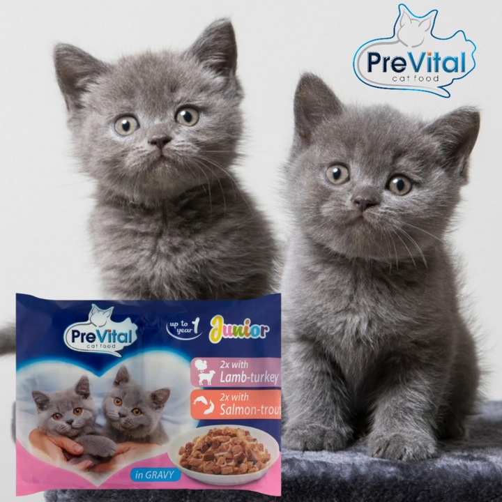 KARMA MOKRA DLA KOTA PREVITAL JUNIOR 52 X 100G SASZETKI DLA KOCIĄT MIX