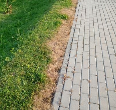 Monsanto Roundup Plus 360 SL 5l Chwasty Randap