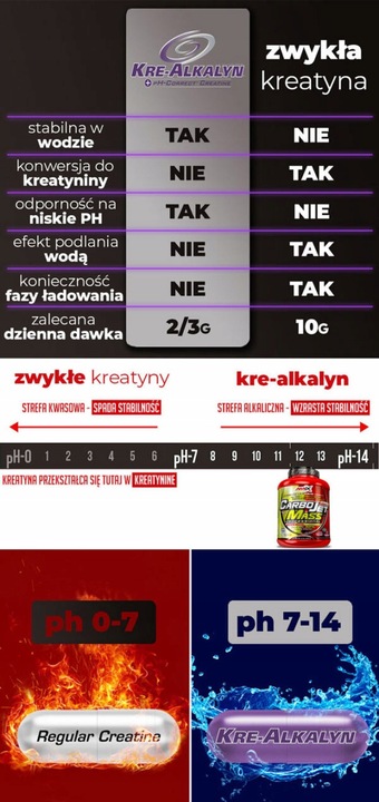 ODŻYWKA NA SIŁE I MASĘ 8 w 1 - Gainer z dodatkiem białka, kreatyny,