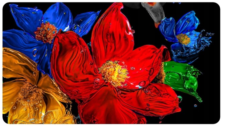 TCL Telewizor LED 55 cali 55Q6C