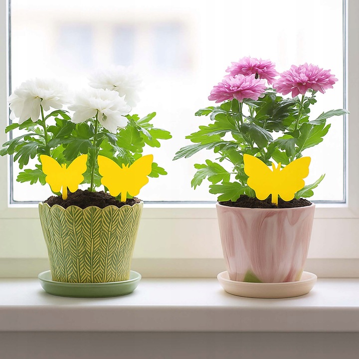 60 Lep na Ziemiórki Owady Żółte Lepy do Doniczek Taśma Domowa Meszki