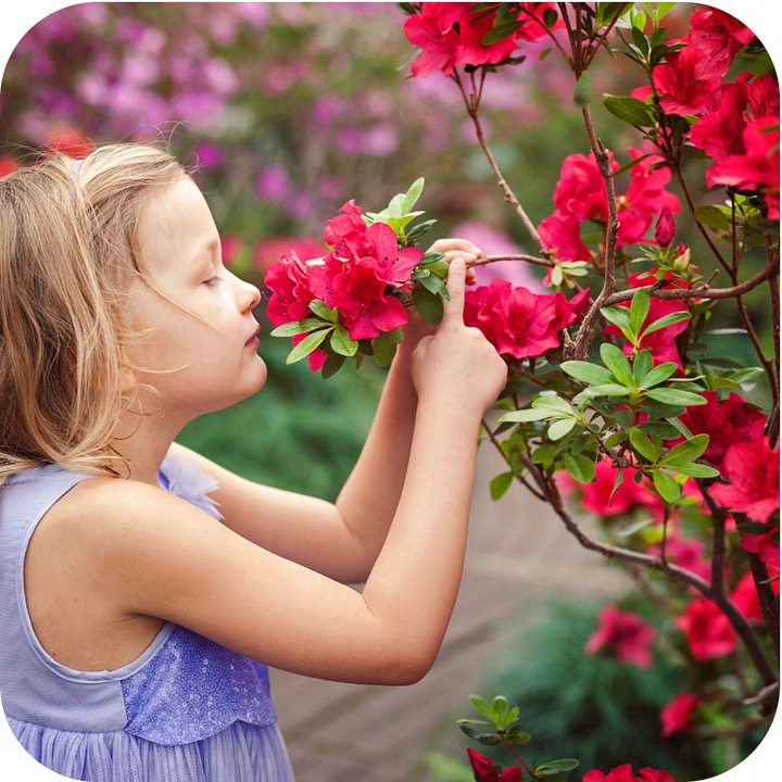 MAGUS 200SC 100ML ŚRODEK NA PRZĘDZIORKI OPRYSK NA PRZĘDZIORKA