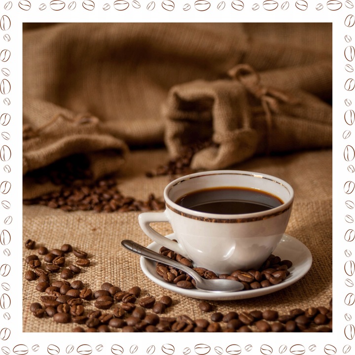 3x Filtr wody Spitze Ellipse do ekspresu DeLonghi ZAMIENNIK Wysoka