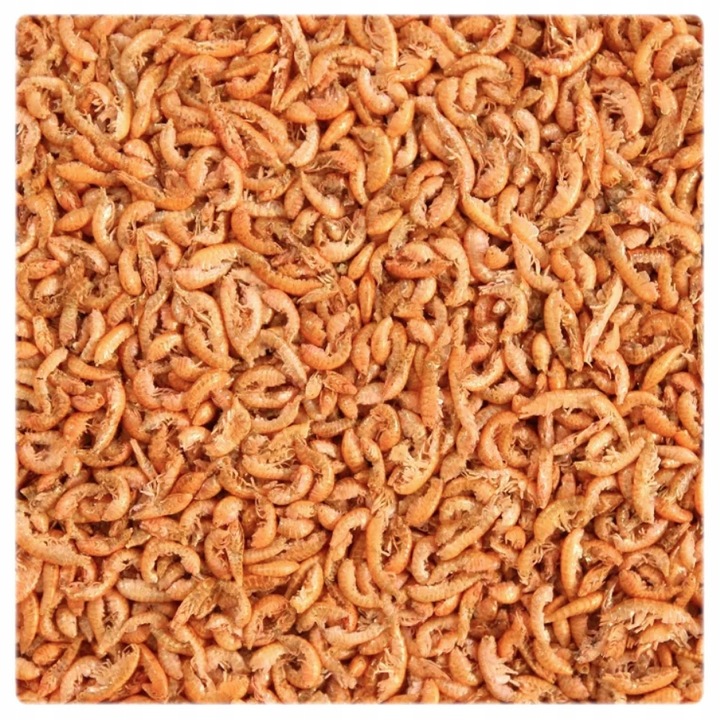 GLOPEX KIEŁŻ SYBERYJSKI SUSZONY GAMMARUS 150g/1l