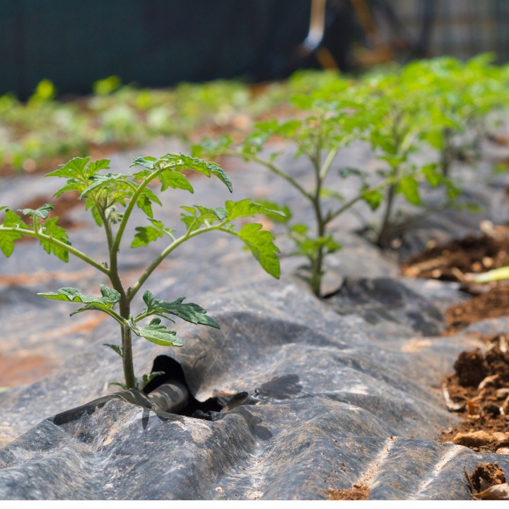 LINIA KROPLUJĄCA 100m+179EL NAWADNIANIE KROPELKOWE WĄŻ KROPELKUJĄCY SOLIDNY