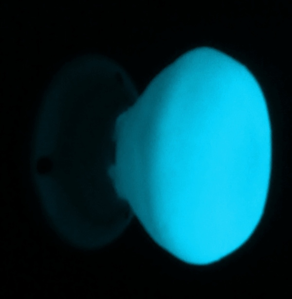 Farba świecąca w ciemności luminescencyjna fosforescencyjna NIEBIESKA 25ml