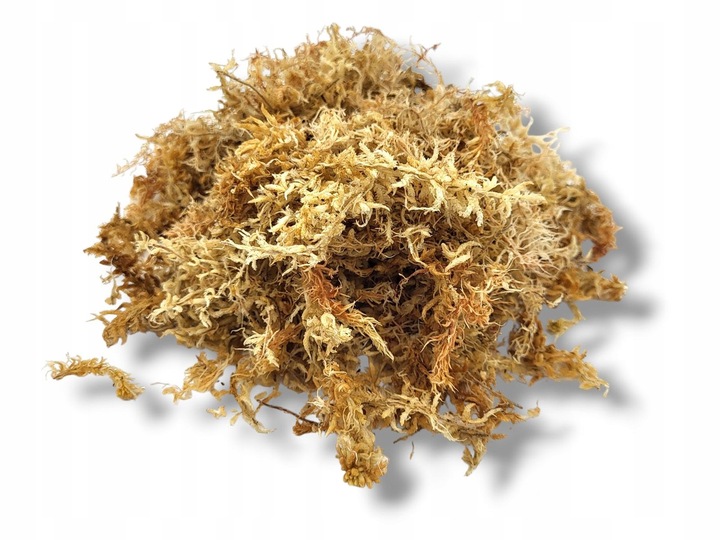 Mech torfowiec Sphagnum Spagmoss gotowy do użycia 3L TerraQuality