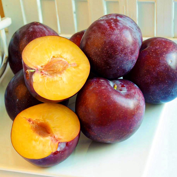 SADZONKI ŚLIWY RENKLODA ALTHANA SMACZNA SOCZYSTA PLENNA NR1 DRZEWKA