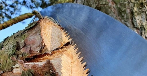 Piła z hakiem teleskopowym do cięcia gałęzi i drewna 5,5m KT-V1501-550