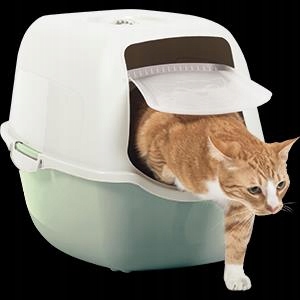 Rotho BAILEY kuweta z filtrem Zielony/Piaskowy