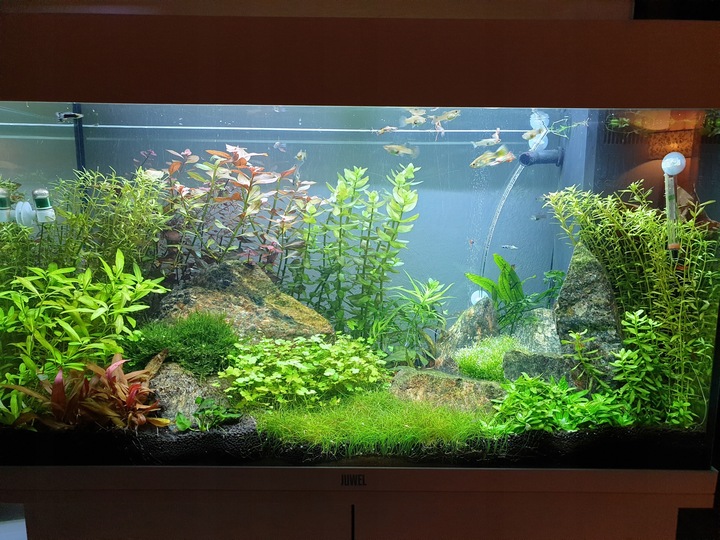 LAWA LAWA WULKANICZNA 2-8 mm 25 kg ŻWIREK AKWARIUM NA DNO