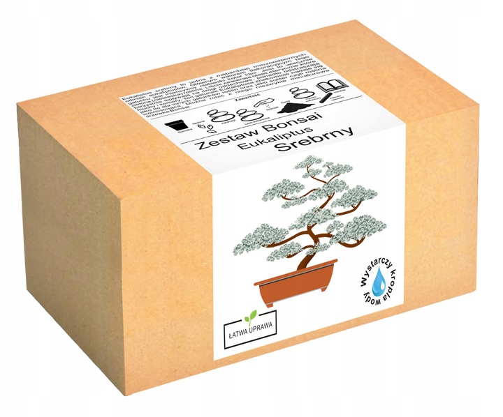ZESTAW DO UPRAWY EUKALIPTUS SREBRNY DRZEWKO BONSAI NASIONA 5 SZT WIELOLETNI