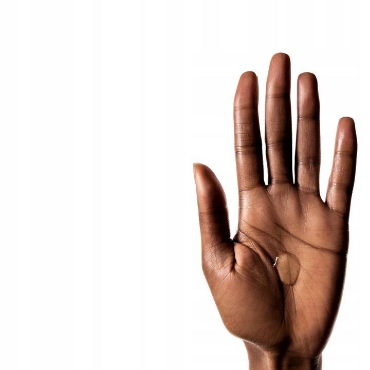 Loreal Absolut Repair wielofunkcyjny olejek do włosów zniszczonych 30 ml