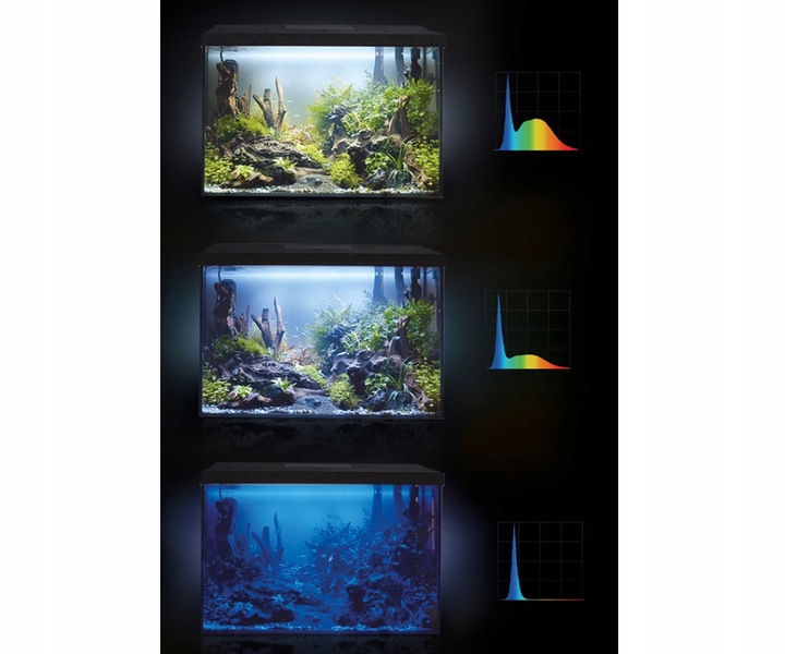 Zestaw 72l z oś AQUAEL LEDDY DZIEŃ I NOC wyposażen