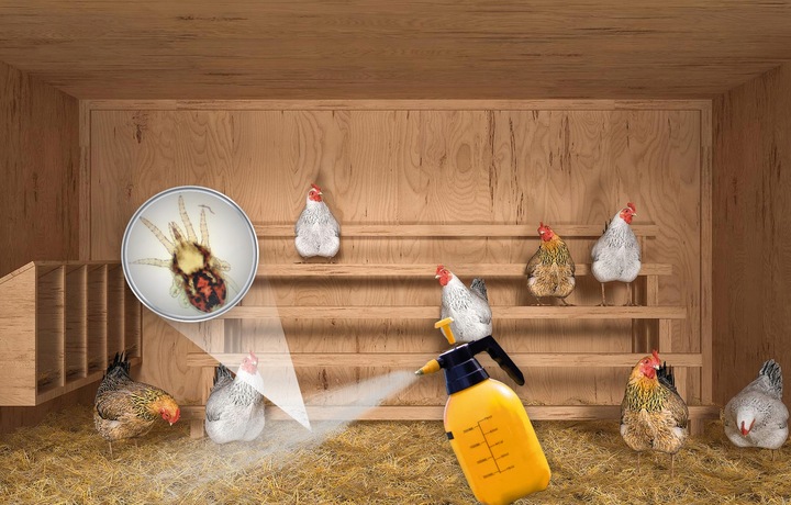 OPRYSK ŚRODEK PREPARAT NA ROZTOCZA PTASZYŃCA DO KURNIKA GOŁĘBNIKA 100ML