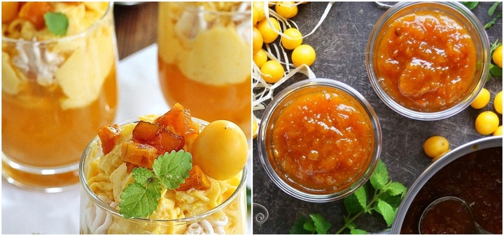 Śliwa RENKLODA ULENA POPULARNA Sadzonka z gołym korzeniem DUŻE JĘDRNE