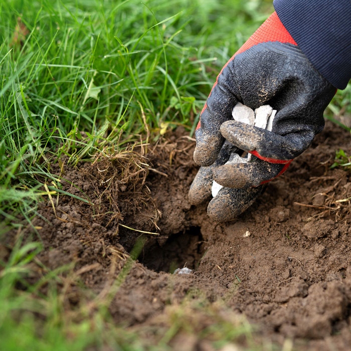 KARBID GRANULOWANY ŚRODEK NA KRETY ODSTRASZACZ KRETA KRETÓW KARBIT =