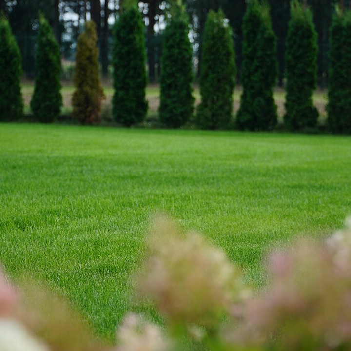 Trawa BARENBRUG RPR Lawn 1kg