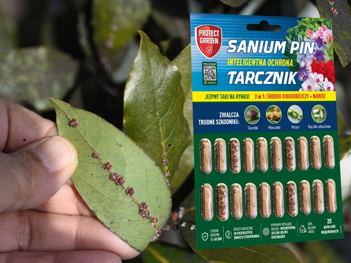 SANIUM PIN 2w1 PAŁECZKI DOGLEBOWE ziemiórki przędziorki wełnowce