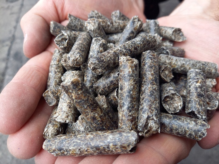 Wysłodki Buraczane Granulowane Melasowane bez GMO 20kg