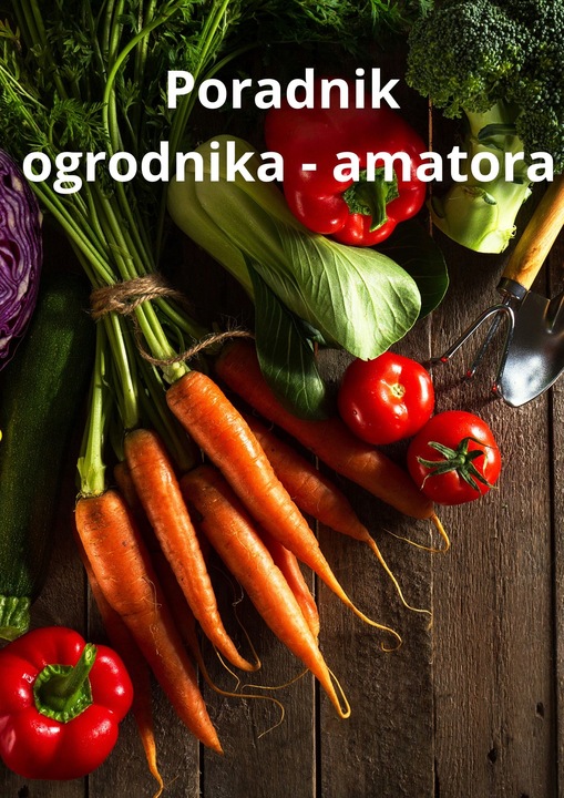 KOŁO DO TACZKI WÓZKA KÓŁKO PEŁNE BEZDĘTKOWE 3.00-4