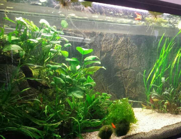 NATURALNY ŻWIREK 1-4 mm 25 kg AKWARIUM