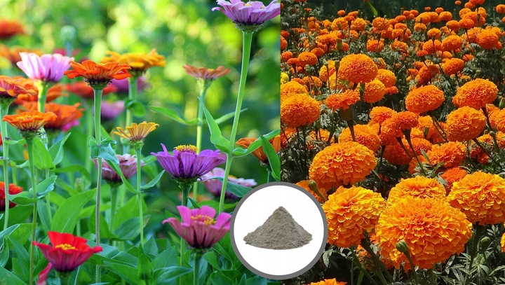 Mączka bazaltowa kruszywo pył trawnik ogród 25kg