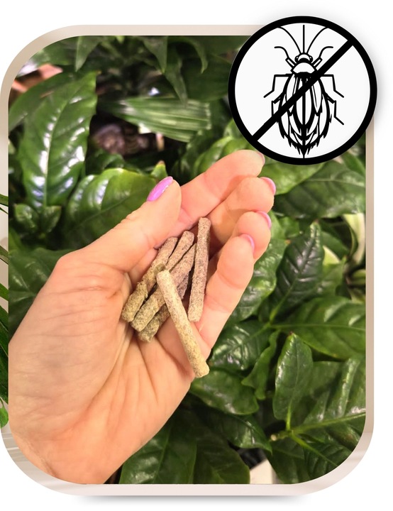 Pałeczki Nawozowe na Szkodniki Ziemiórki Przędziorki Tarczniki 100