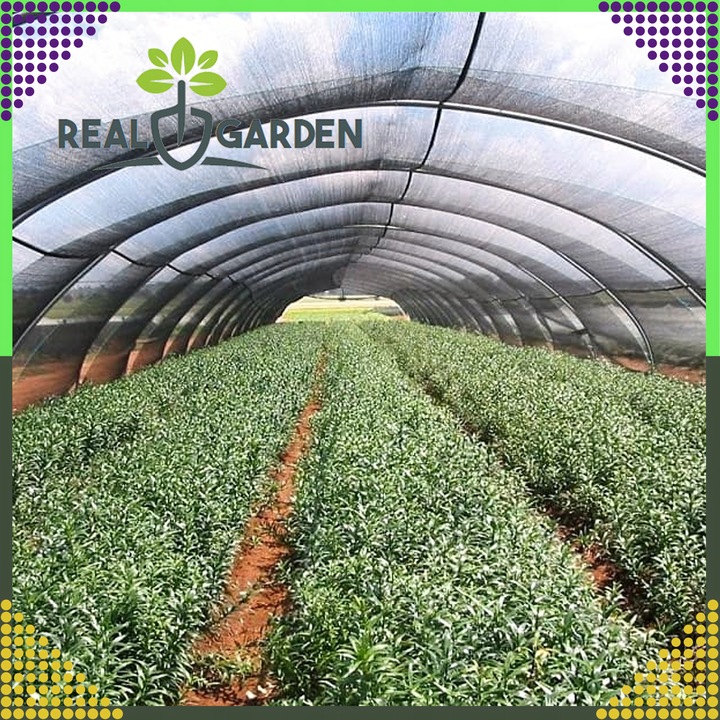 Siatka Cieniująca 1,5x50m Maskująca 95% Osłona Mata Na ogrodzenie Płot