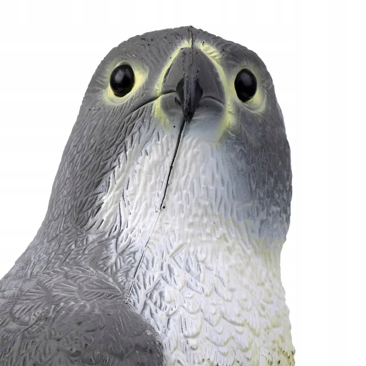 Jastrząb odstraszacz ptaków gołębi szpaków sokół