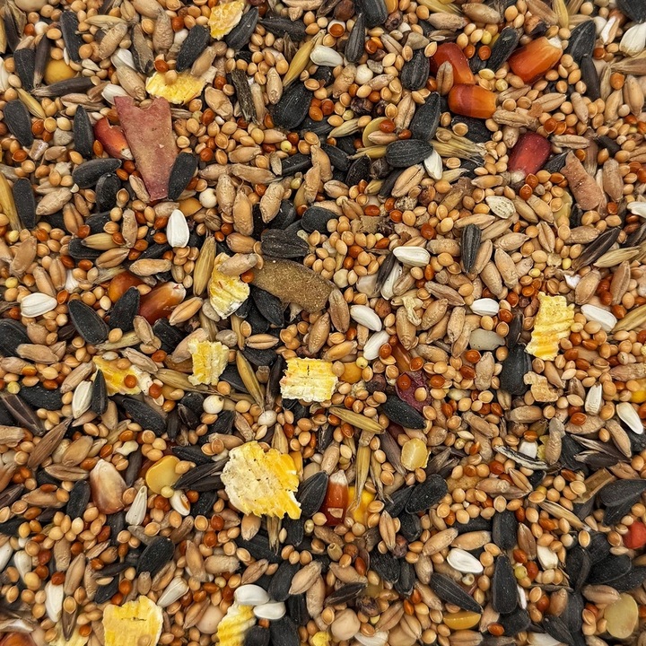 14kg Karma dla papug średnich papugi Nimfa Rozella pokarm STANDARD